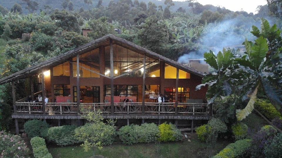 Mahogany Springs » Matoke